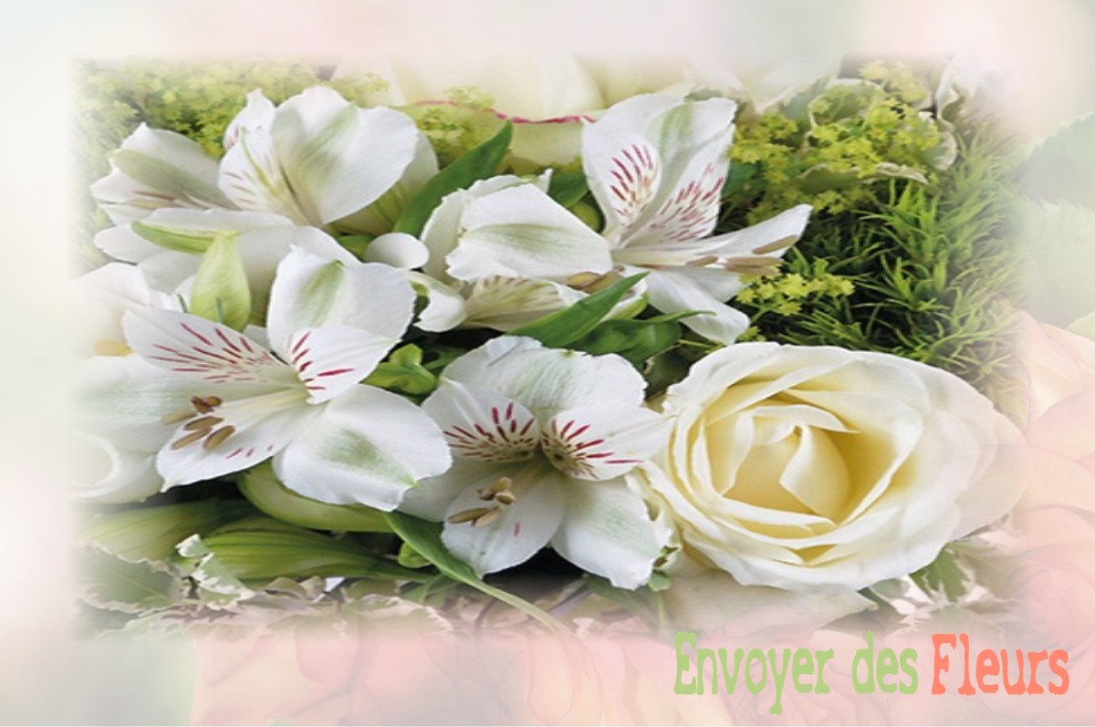 envoyer des fleurs à à VILLIERS-SAINT-ORIEN